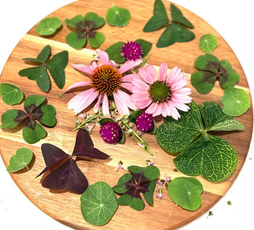 Edible Flowers